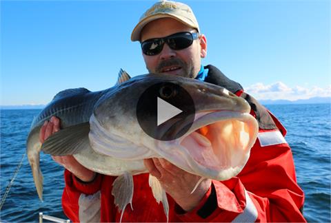 Fiskeskolen Shadfiske etter torsk sesong 1 episode 2