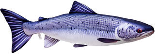 Gaby Atlantic Salmon 60cm Herlige kosedyr for ekte fiskere