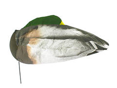 Sillosocks lokkefugl stokkand hann 1stk sovende og beveger seg i vinden
