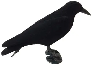 UKSW lokkefugl sort kråke med Flock Hel kråke lokkefugl med Flock-belegg