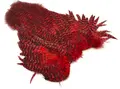 Whiting Rooster SH/C Grizzly Grizzly dyed Red