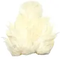 Whiting Rooster SH/C White White