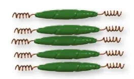 Wiggler Spiralbly Spiralfester med grønt bly i midten